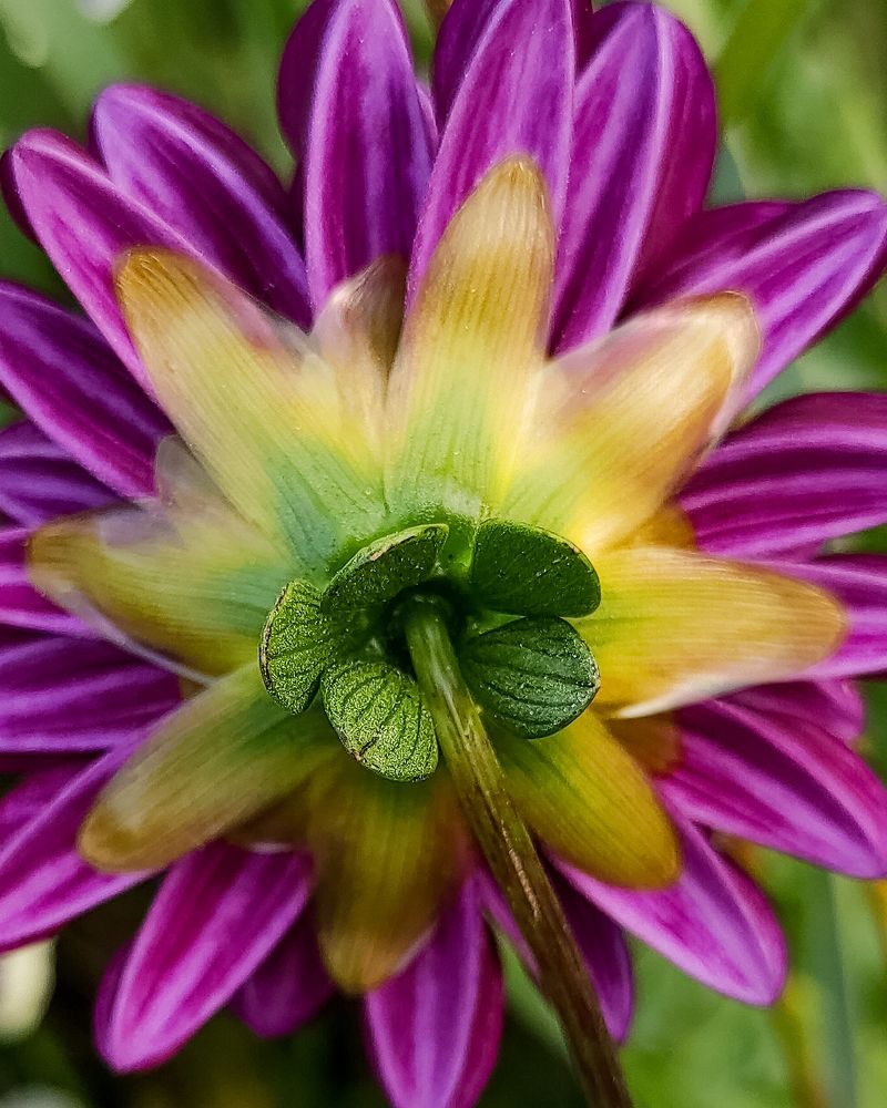 Photograph by Елена Гусева