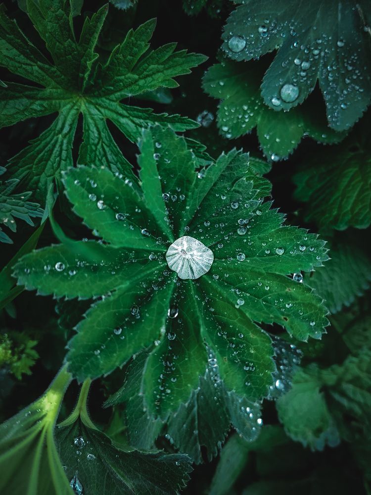 Photograph by Андрей Родионов