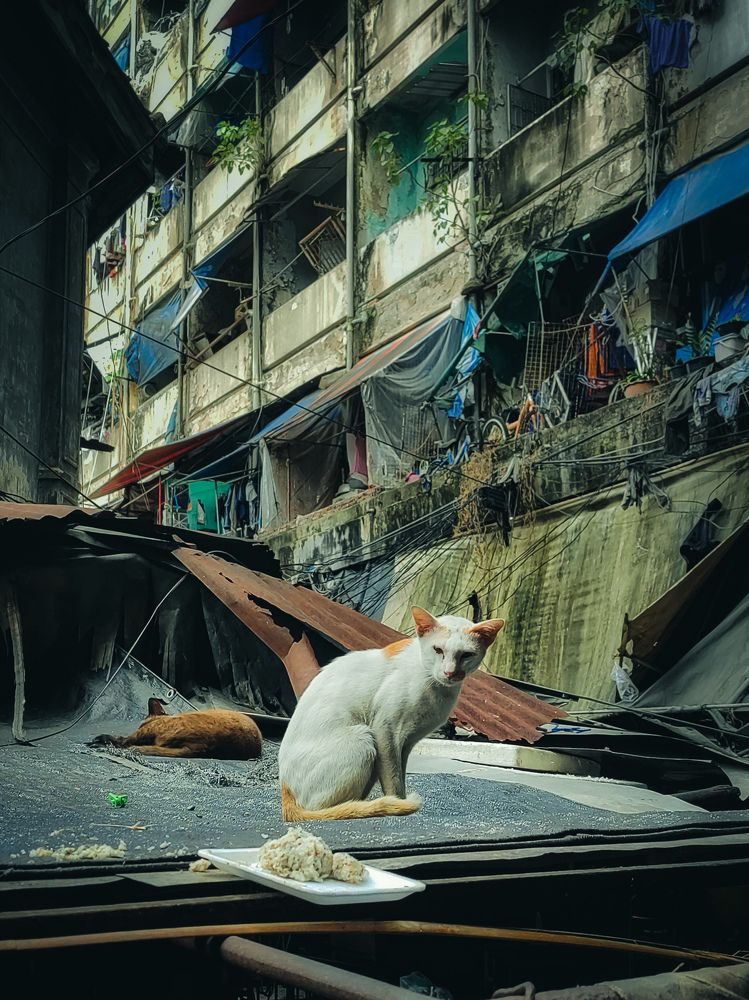 Photograph by Андрей Родионов