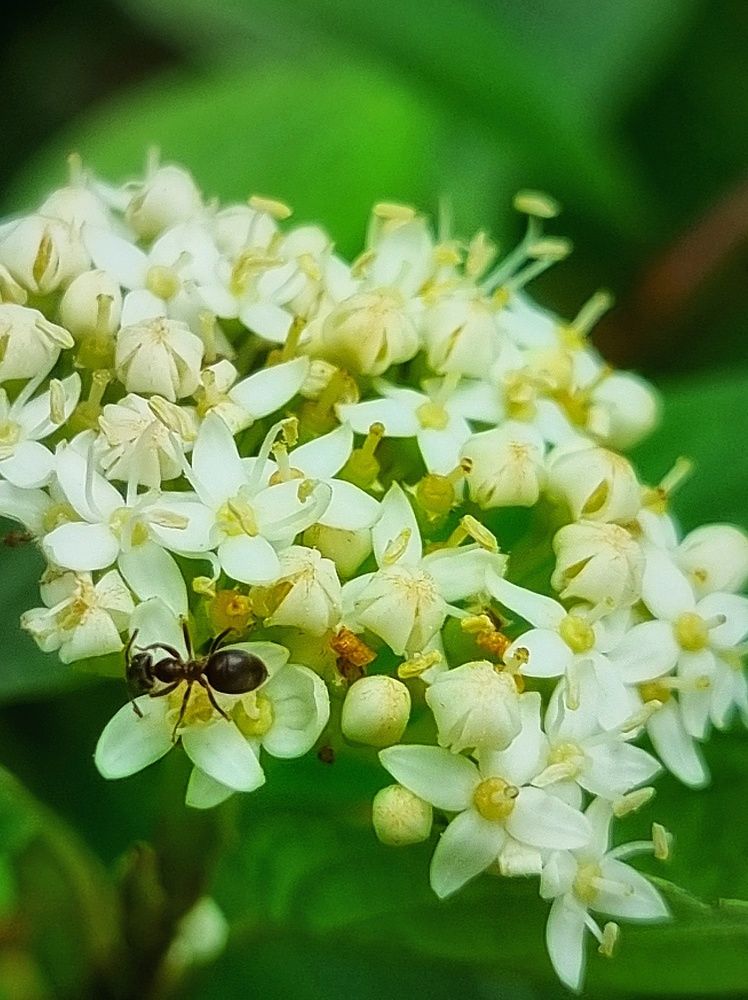 Photograph by Ольга