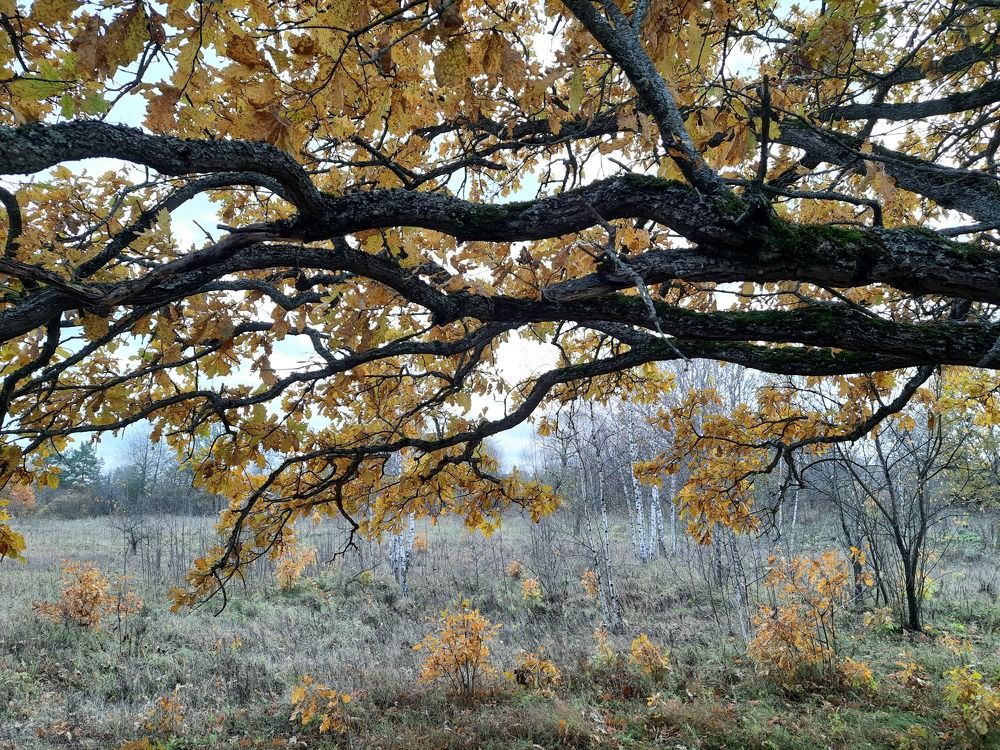 Photograph by Суетинов Евгений