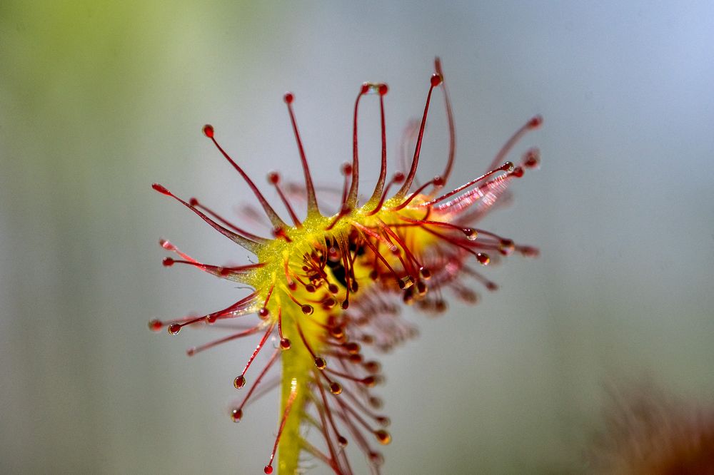 Photograph by Наталия Шинкевич