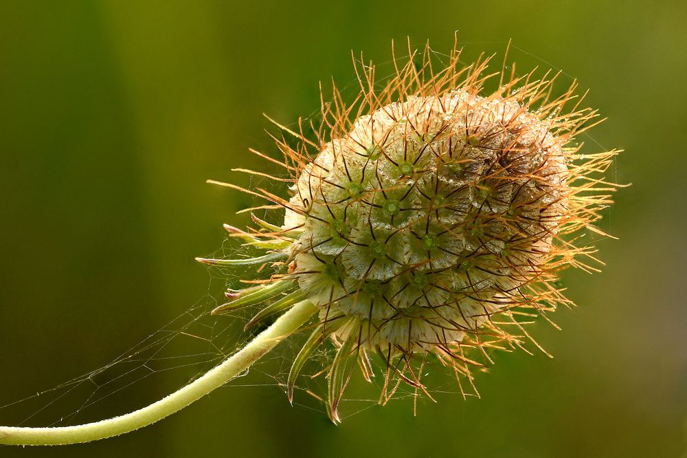 Photograph by Наталия Шинкевич