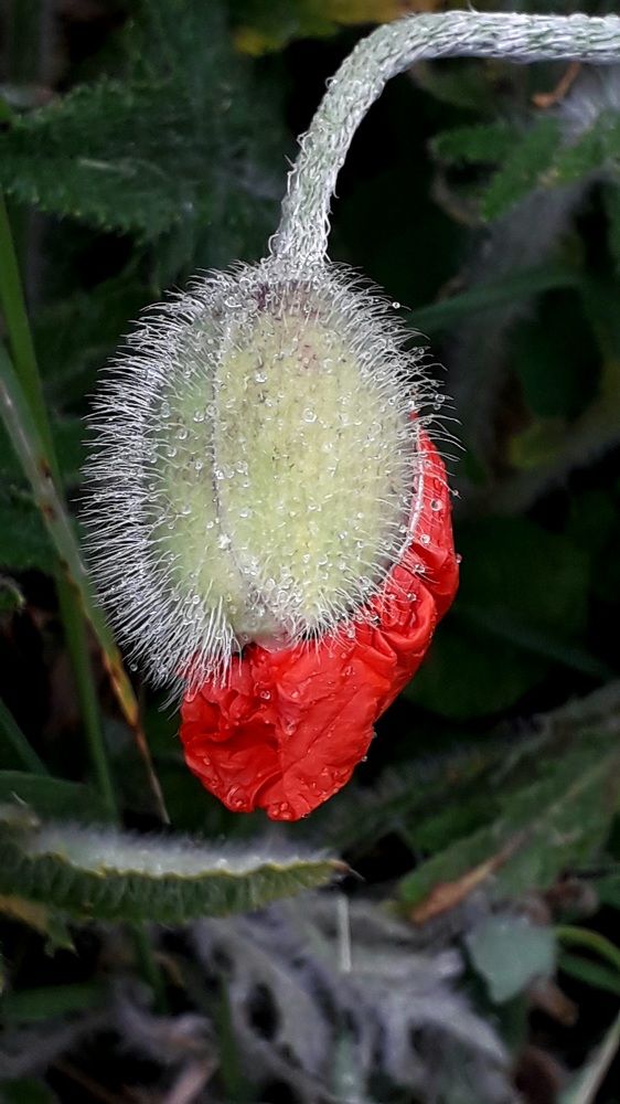 Photograph by Татьяна Солтан