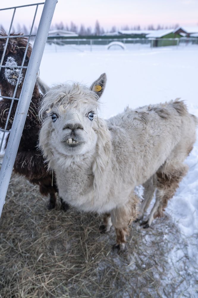 What are f*ck you looking at?