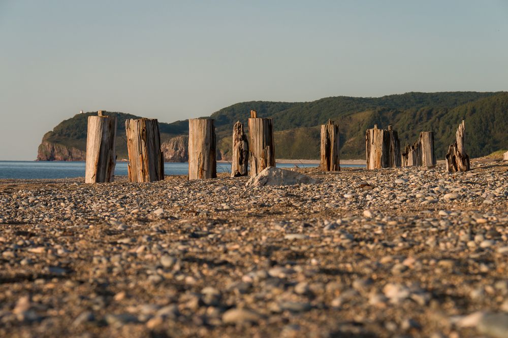 Фотография автора Рита Науменко