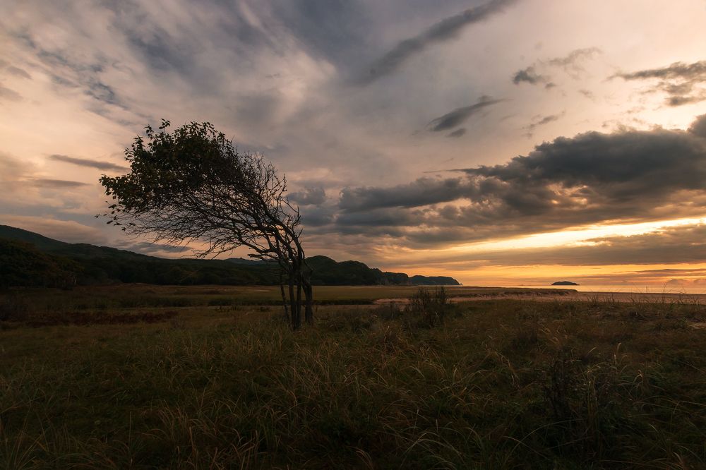 Фотография автора Рита Науменко