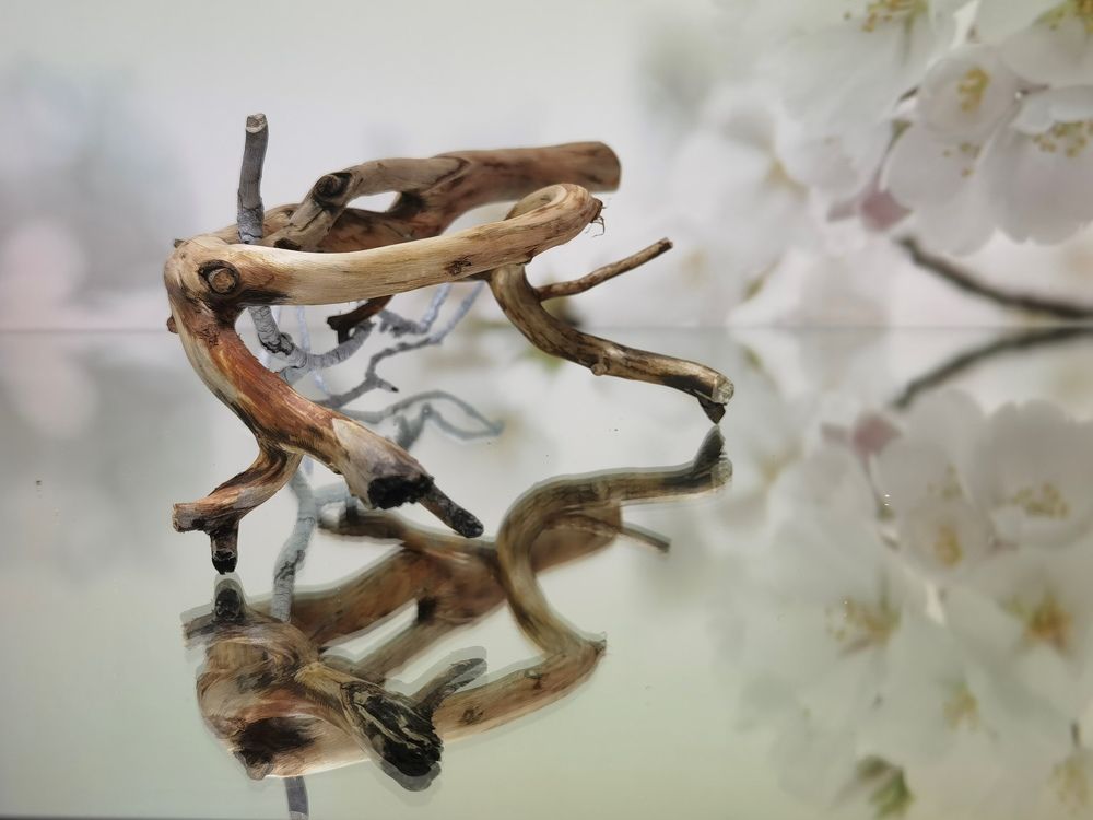 Photograph by Александр Разумов