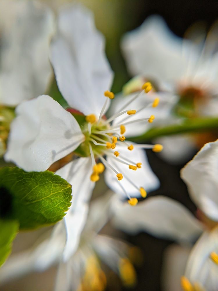 Photograph by Валентина