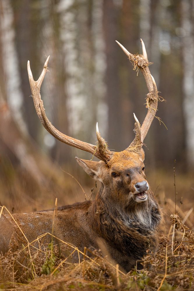 Photograph by Князев Сергей