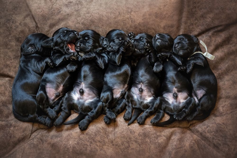 Photograph by Наталья Степанова