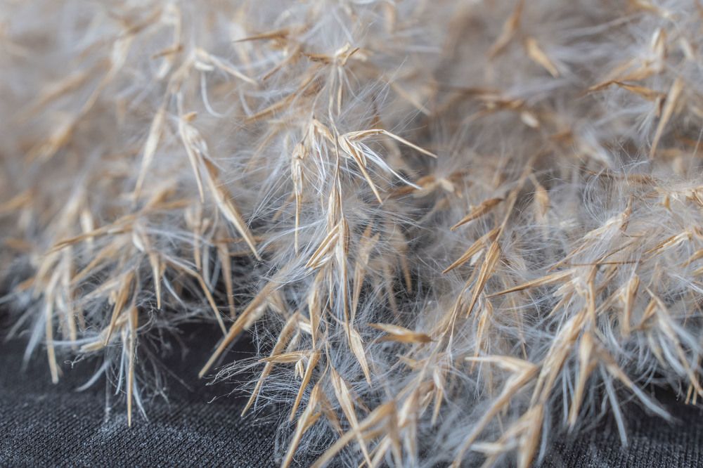 Photograph by Оксана Губанова