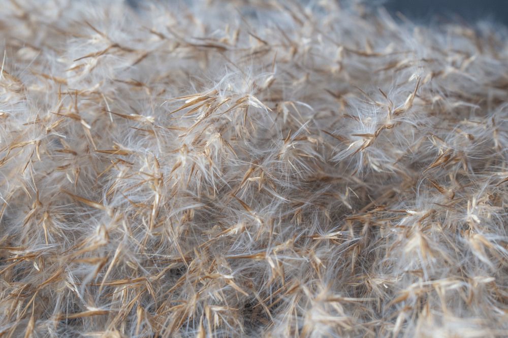 Photograph by Оксана Губанова