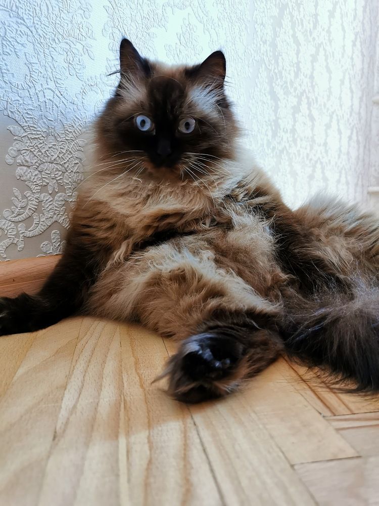 Photograph by Лия Маликова