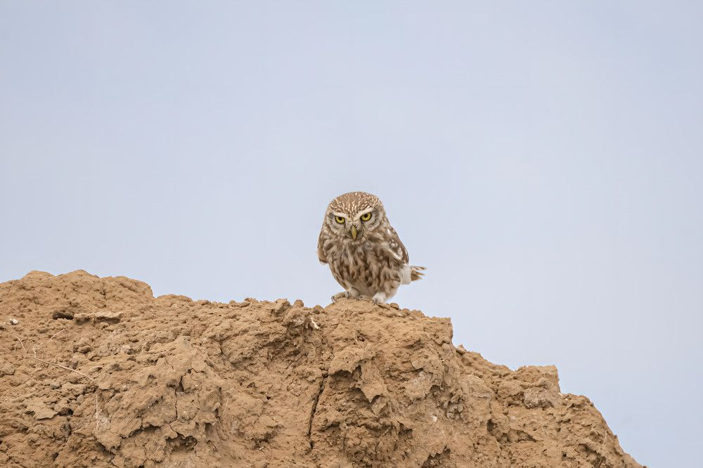 Photograph by Артем Шумов