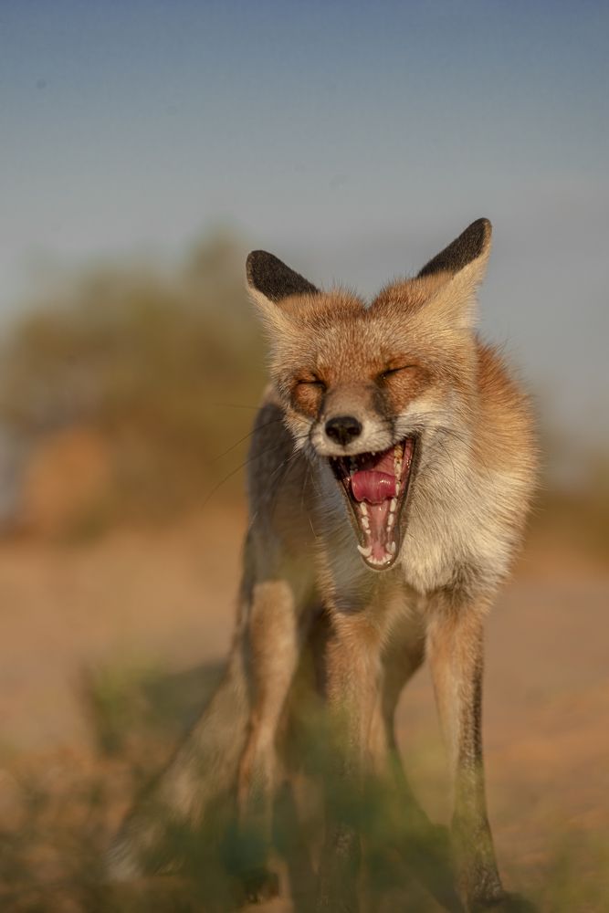 Photograph by Артем Шумов