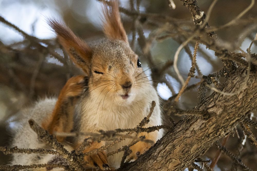 Photograph by Артем Шумов