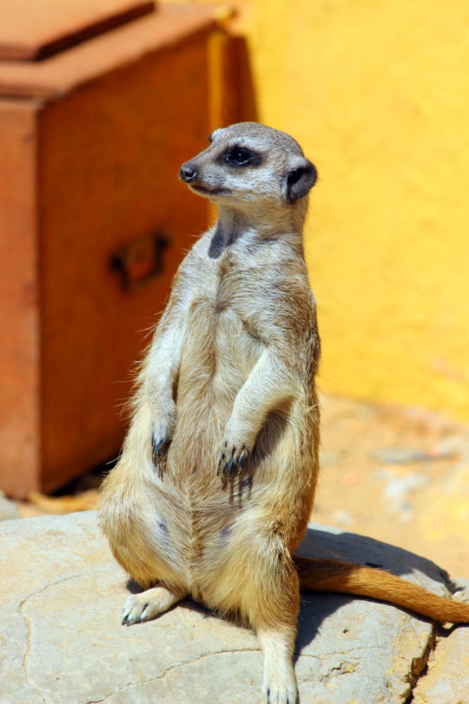 Photograph by Александр Копылов