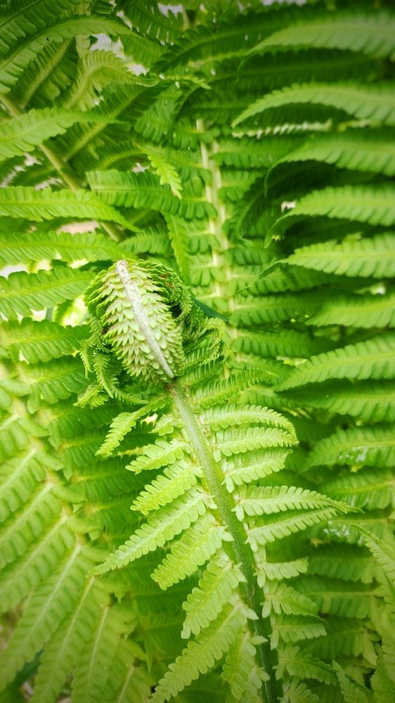 Photograph by Наталья Калюнова