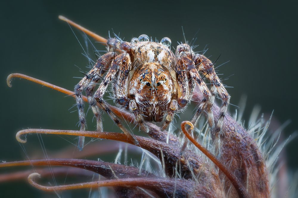 Photograph by Кузнецов Дмитрий