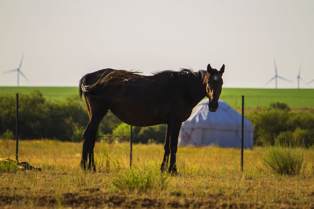 Фотография автора Вячеслав Булатов
