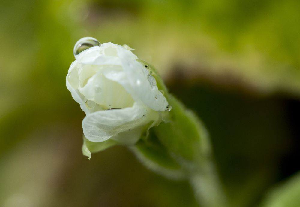 Photograph by Олег Китаев