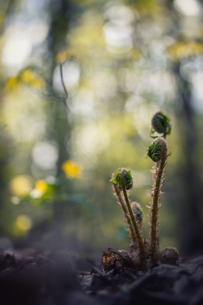 Photograph by Кузнецов Дмитрий