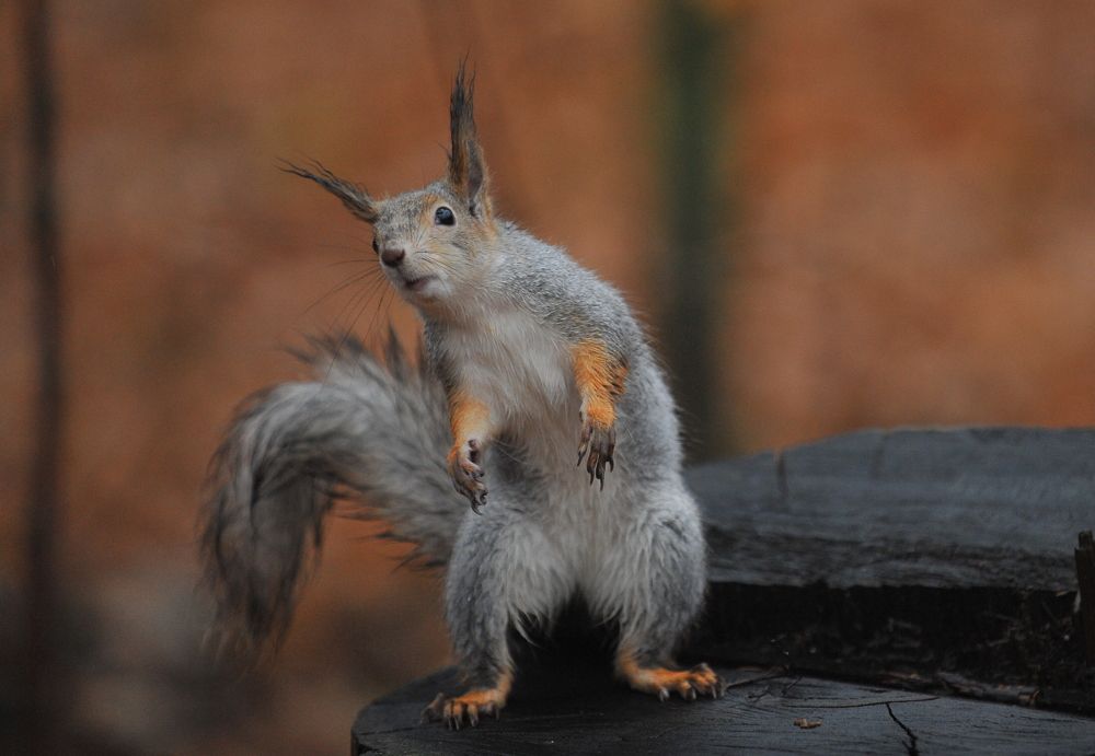 Photograph by Алексей Козлов