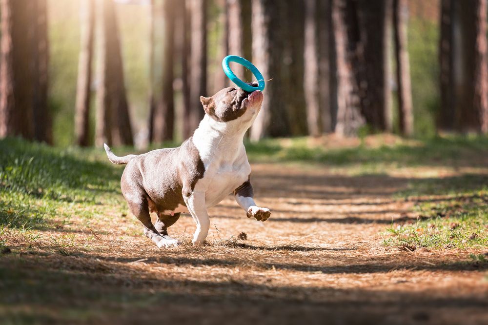 Photograph by Наталья Степанова