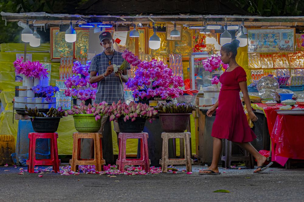 Фотография автора Darshana Isuranga Dasanayake