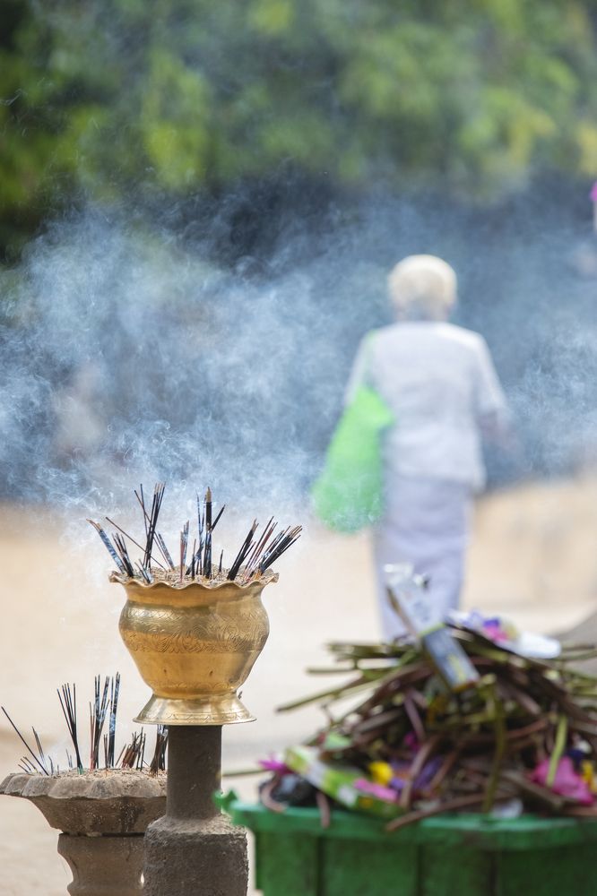 Фотография автора Darshana Isuranga Dasanayake