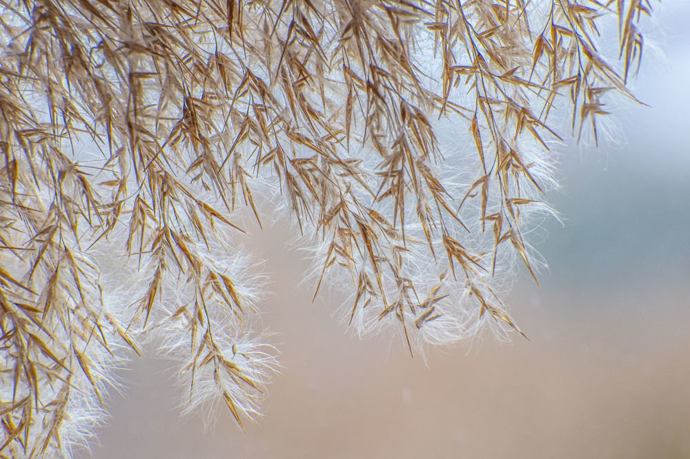 Photograph by Оксана Губанова