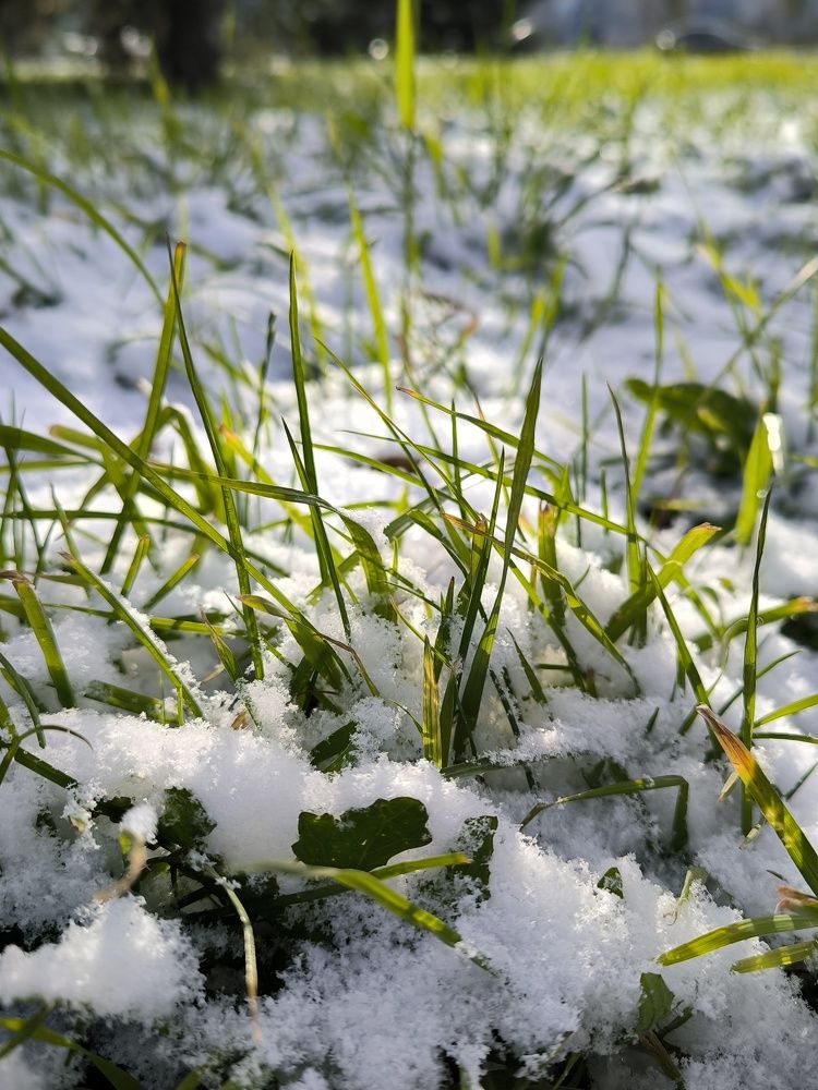 Photograph by Сергей Подлевский