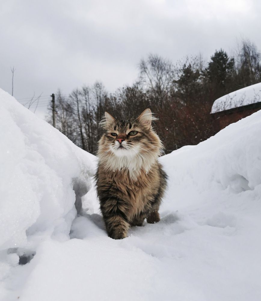 Photograph by Ева Мельникова