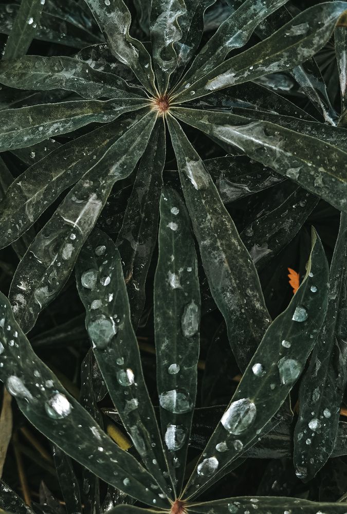 Photograph by Людмила
