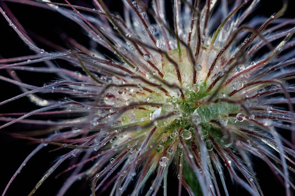 Photograph by Radovan Dziak