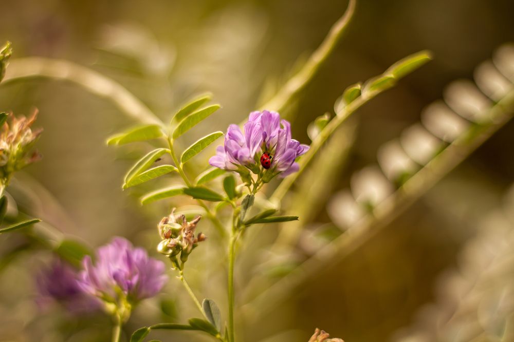 Photograph by Мариям Магомедова