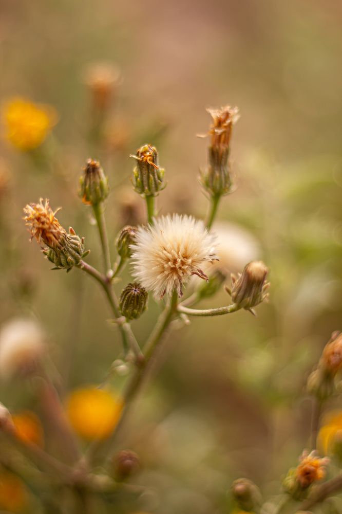 Photograph by Мариям Магомедова