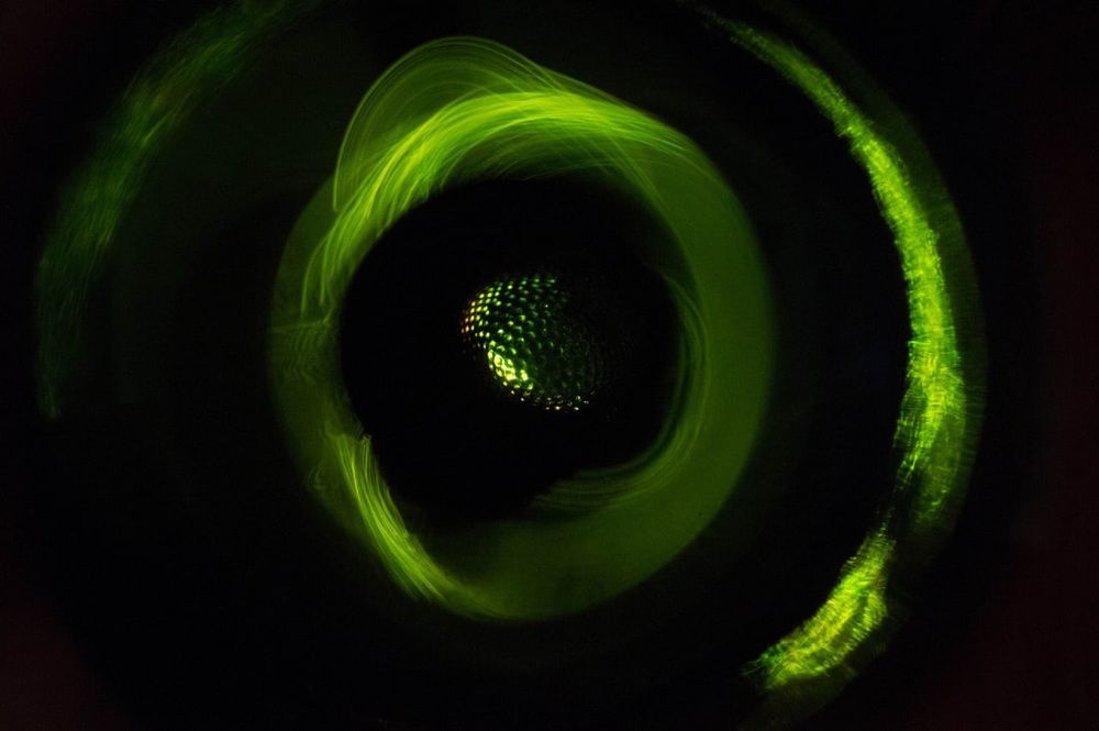 Photograph by Евгения Гловацкая