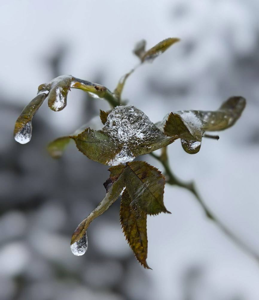 Photograph by Ева Мельникова