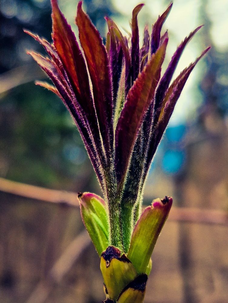 Photograph by Алексей Рыбачков