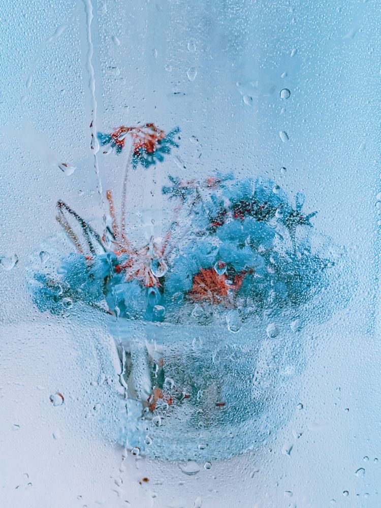 Photograph by Евгения Никишина