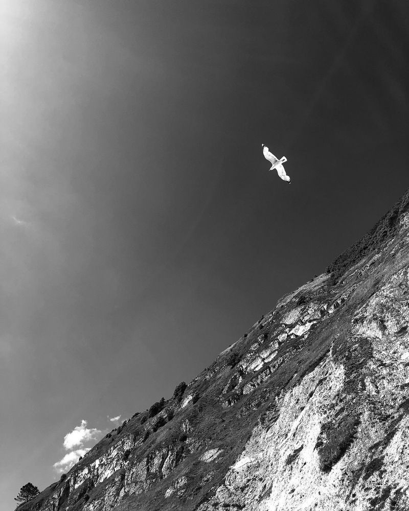 Photograph by Zinaida Sassarini