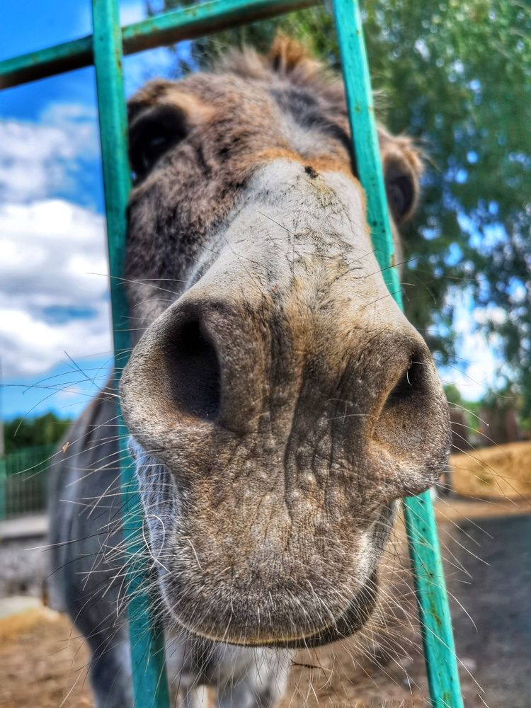 Photograph by Регина Джумалиева