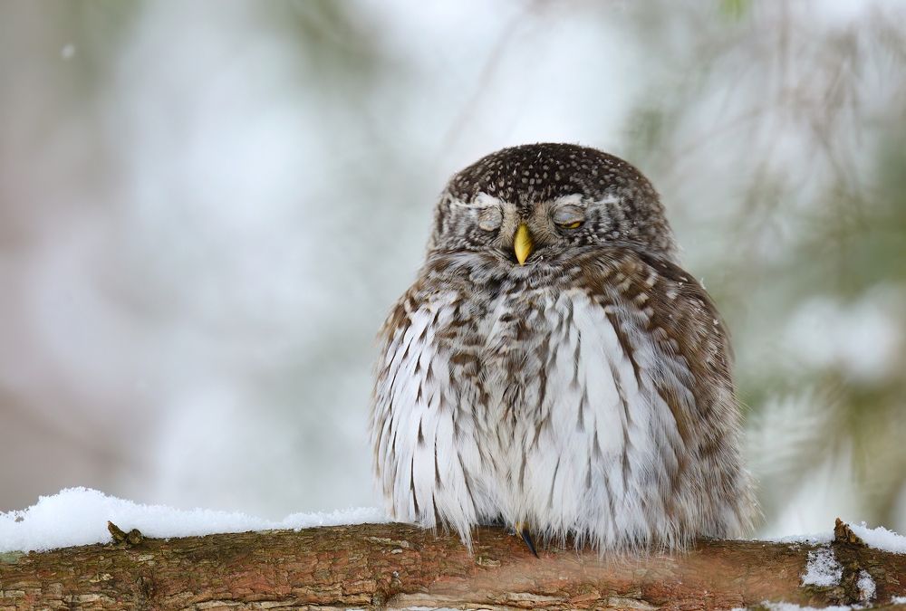 Не выспался