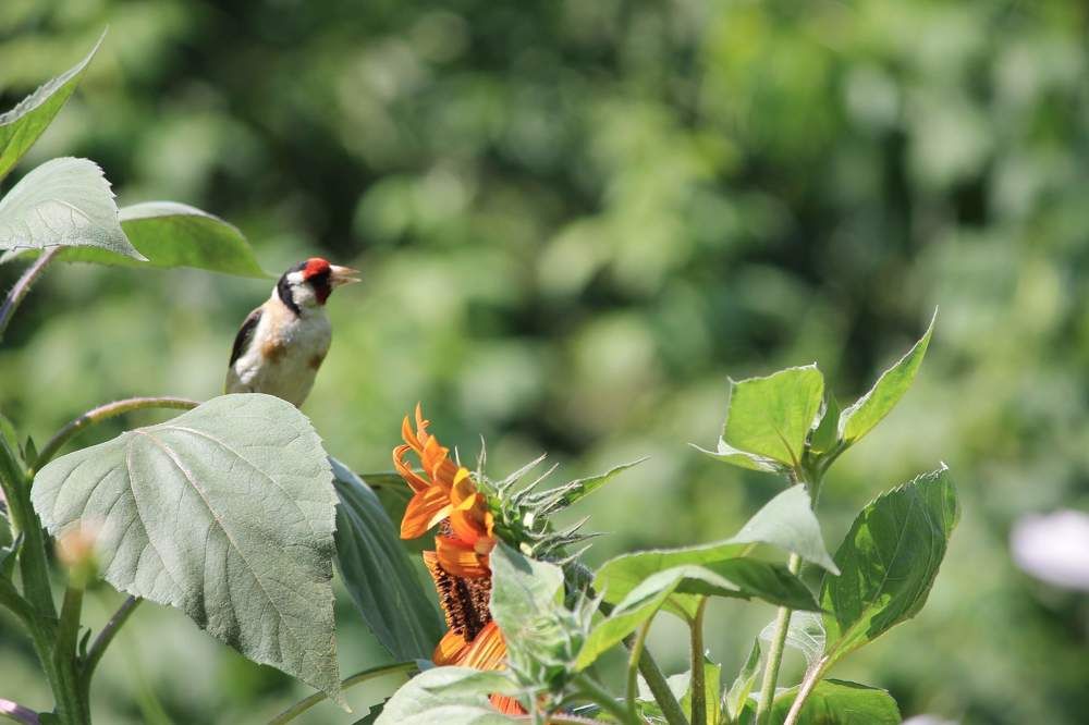 Photograph by Ольга Самылкина