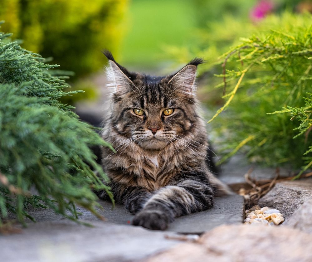 Photograph by NADEZHDA PELYMSKAIA