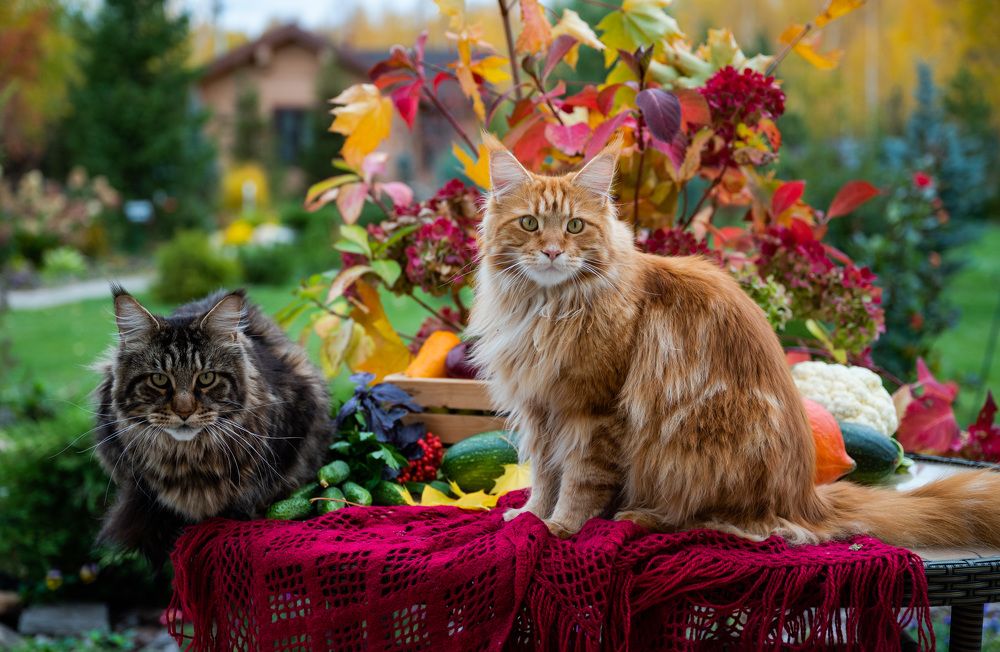 Photograph by NADEZHDA PELYMSKAIA