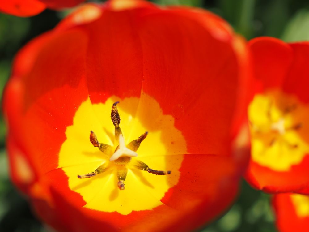 Photograph by Алексей Гнедовский