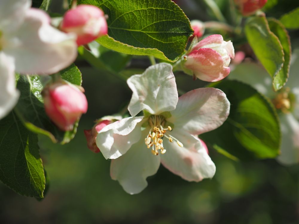 Photograph by Алексей Гнедовский